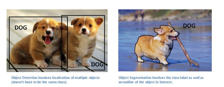 Detection